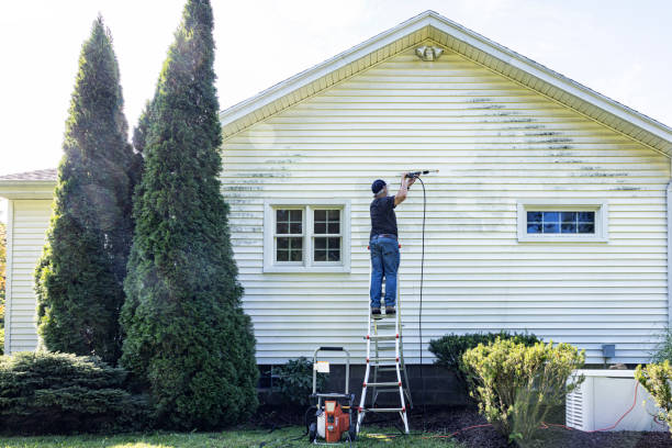 Best Patio and Deck Pressure Washing  in Searingtown, NY